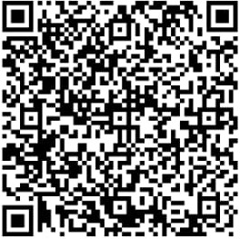 QR Code Pix